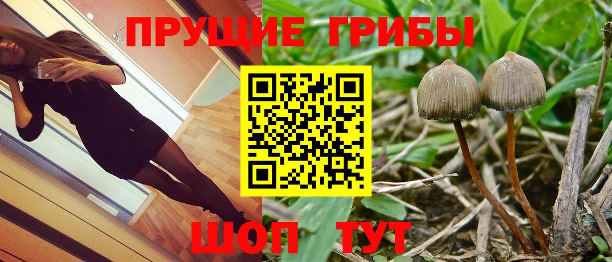 Галлюциногенные грибы ЛСД  Вход с VPN  Галлюциногенные грибы GOLDEN TEACHER  Владимир 