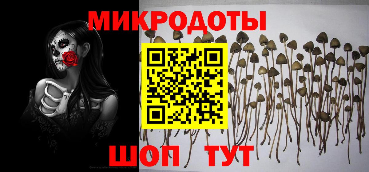 Галлюциногенные грибы Magic Shrooms  Владимир 