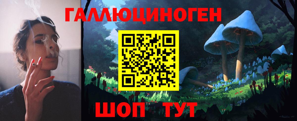 Псилоцибиновые грибы Psilocybine cubensis Владимир