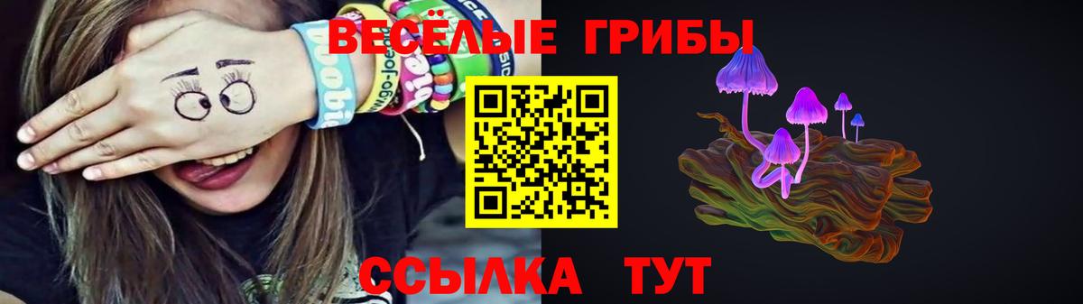 Галлюциногенные грибы ЛСД Владимир