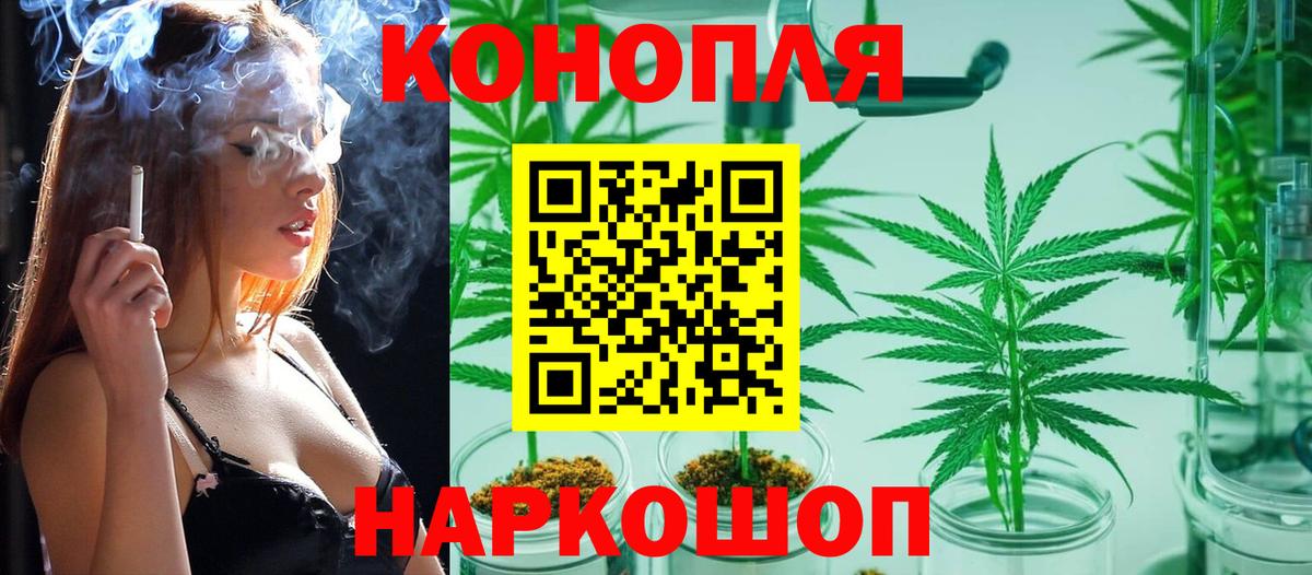 Канабис SATIVA & INDICA Владимир